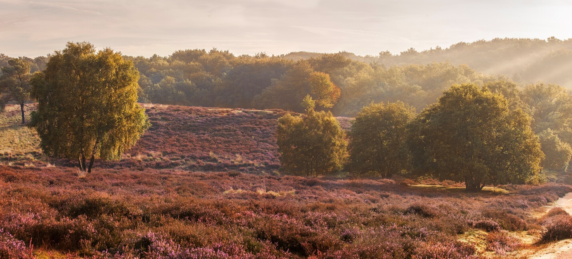 <span>Visit Mookerheide</span> <span>Schilderachtig <span>mooi</span></span>